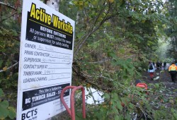 Although it is within Salmon Parks, cutblocks near the Burman River remains active forestry sites under the tenure of BC Timber Sales.