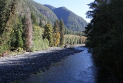 The Burman River is part of the Mowachaht/Muchalaht's Salmon Parks project, which aims to protect a large portion of the First Nation's territory from Industrial activity. (Eric Plummer photo)