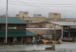 In the fall of 2022 Western Forest Products stopped running the Alberni Pacific Division mill at the south end of the city, affecting another 100 jobs. (Eric Plummer photo)