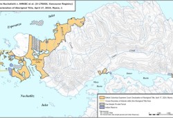 The B.C. Supreme Court has recognized a portion of northern Nootka Island as Nuchatlaht Aboriginal title land. (S-170606 Vancouver Registry map)