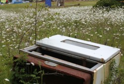 A mostly intact is oven among the remnants of 20th century habitation at the site.