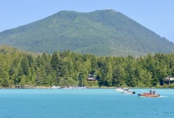 Ucluelet Harbour looks like Hawaii without the palm trees these days thanks to a special algae bloom.