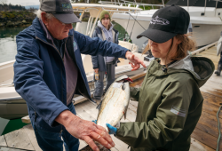 A member of the Sidney Anglers Association provides their catch to Emma Polard, a former UVic research technician and current Master of Science student in Marine Biological Resources. (Scotty Manufacturing Ltd. Photo)