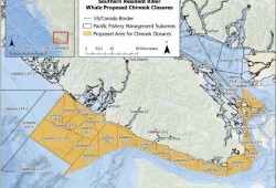 A proposal has been sent to Canada’s fisheries minister to prohibit the catch of chinook salmon off southern Vancouver Island’s coast. (Fisheries and Oceans Canada map)