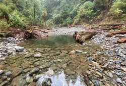 In recent years work has continued to repair salmon habitat in a part of Ditidaht territory that falls within the Pacific Rim National Park Reserve. Recognized as part of a Parks Canada initiative, this work in the Cheewaht watershed has been selected for the UN World Restoration Flagship award. (Parks Canada photo)