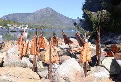 Traditional salmon barbecue has been prohibited in most parts of the West Coast this summer due to the ongoing drought and wildfire risk. (Alexandra Mehl photo)