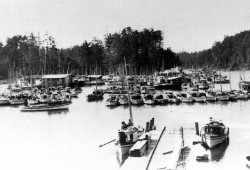 Japanese Canadian troller fishing fleet in Ucluelet’s Spring Cove circa 1920s. (Ucluelet & Area Historical Society photo)