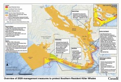The salmon fishery closures on the map to support Southern Resident killer whale recovery do not include the groundfish trawl fishery. (DFO image)
