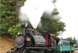 In recent years a stretch of railway along Port Alberni’s waterfront has been used as an attraction, including some run’s by the historic No. 7 steam locomotive. (Mike Bonkowski photo)