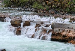 Hupačasath worked with DFO to create on a temporary wall at Stamp falls to push more water toward the fishway. (DFO photo)