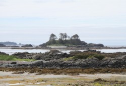 The historic village site is surrounded by tidal flats.