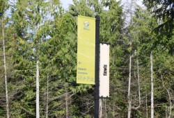 A new District of Tofino tinwis sign on MacKenzie Beach Road.