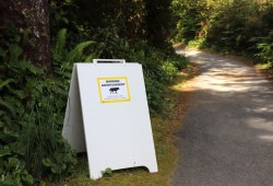 Parks Canada has issued a ‘Wolves in Area Warning’, temporarily closed the Wickaninnish Dunes and former Gold Mine Trail to the public and announced a restricted activity order, which threatens up to $25,000 in fines to anyone who willfully approaches, views or engages within 100 metres of the wolves. (Nora O’Malley photo)