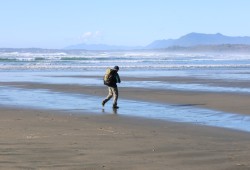 PRNPR human-wildlife coexistence team lead Todd Windle sets out to monitor a stretch of Wickaninnish Beach, B.C. within the Pacific Rim National Park Reserve and Yuułuʔiłʔatḥ traditional territory. (Nora O’Malley photo)
