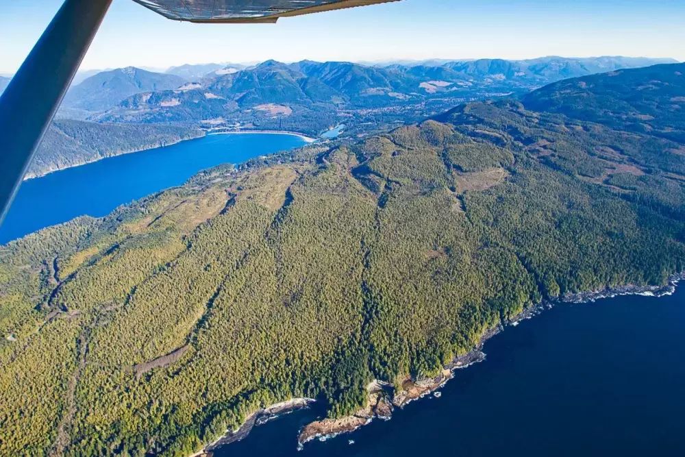 Southern Vancouver Island's forests are seen from an airplane. (Ancient Forest Alliance photo)