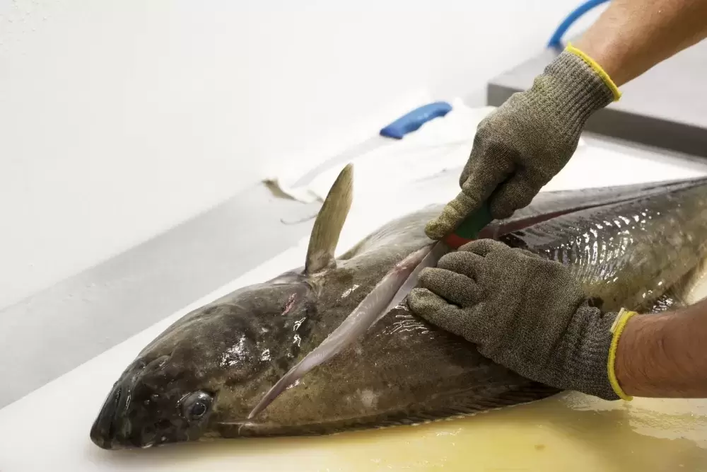 Stevie Dennis processes a halibut inside Naas Foods in Tofino, on February 2, 2022.