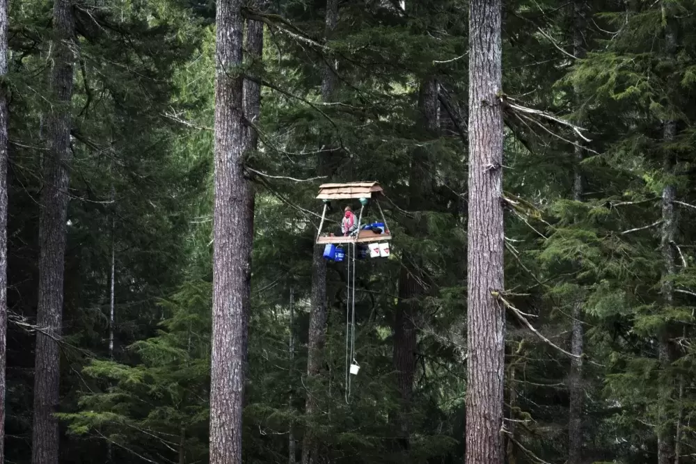 A tree-sitter, who goes by Pony, said she spent four days in a hanging structure to delay the logging of old-growth forest near the Caycuse blockade, on May 20, 2021.
