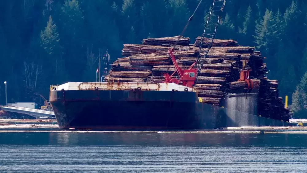 Whole logs are loaded aboard a barge in Alberni Harbour. (Mike Youds photo)