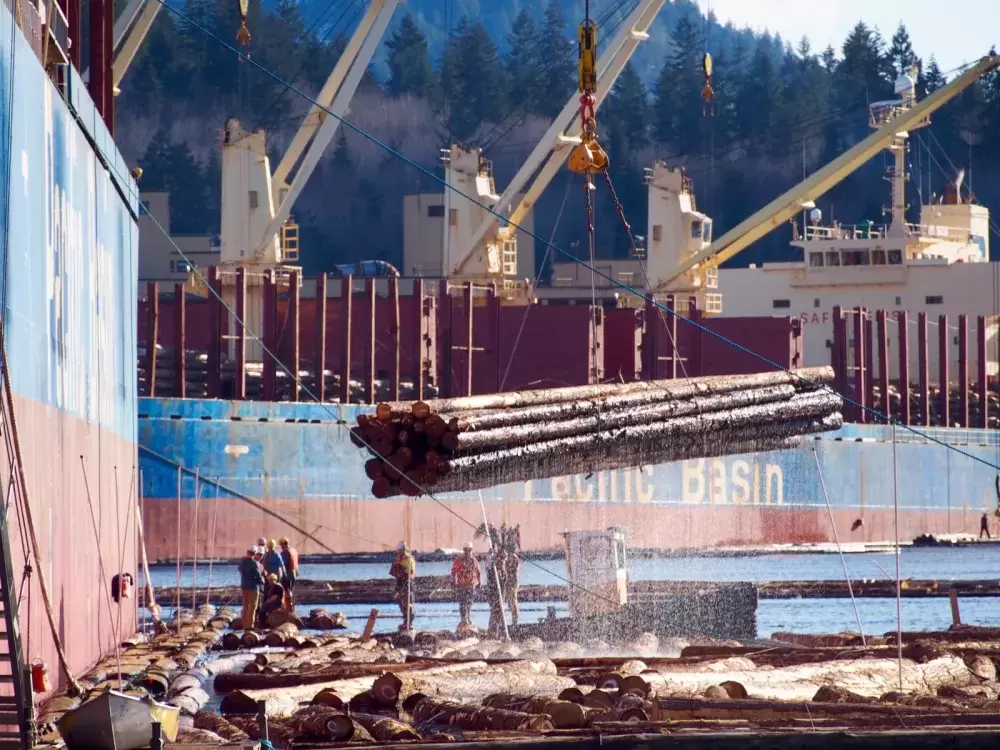 Bundled raw logs are loaded onto a barge for export in Port Alberni harbour. (Mike Youds photo)