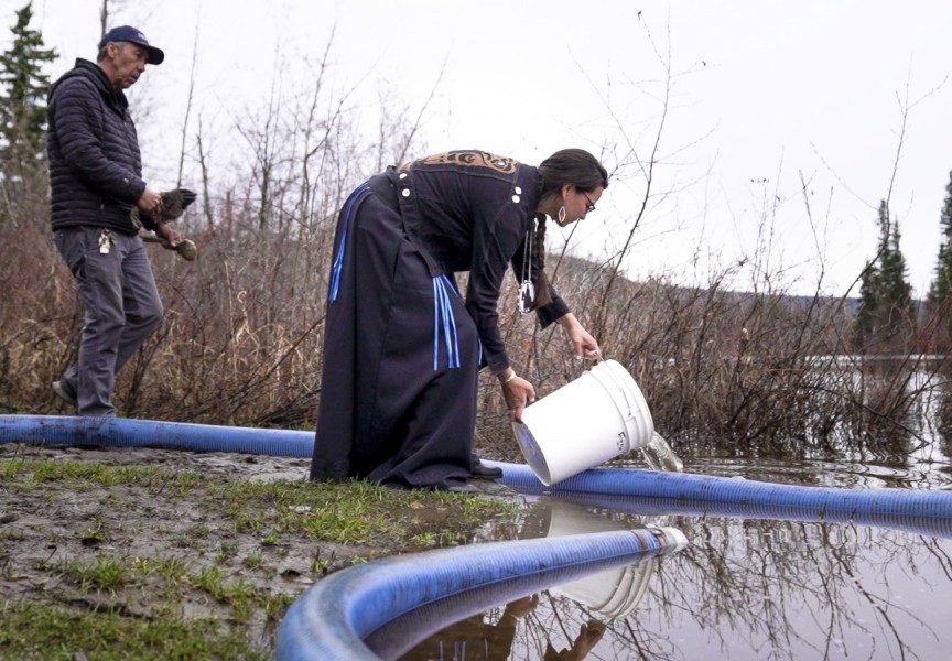 Chief Leah Stump of Nazko First Nation releases chinook fry into the Blackwater River, a tributary of the Fraser River, south of Prince George. (DFO photo)
