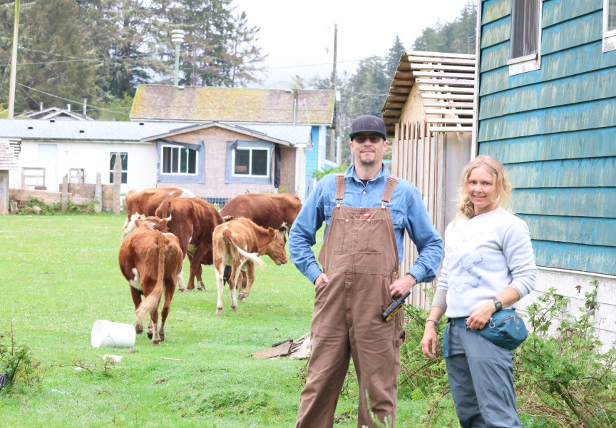 Tla-o-qui-aht wild cow technicians Clay Weisschadel and Robyn Perritt support the study with data collection and daily observations. 