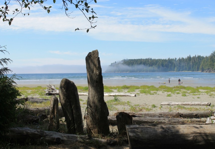 Ocean view from one of Pachena Bay's campsites.